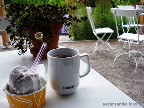 Astrid Lindgren Lody z herbatą w parku Szwecja Szkice Nordyckie blog