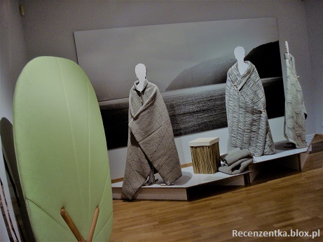 Norweski_design_koce_5