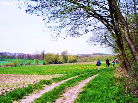 PTTK Szlak Kościuszki Długosz