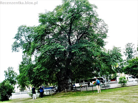 Astrid Lindgren Drzewo Lemoniadowe Szkice Nordyckie Szwecja