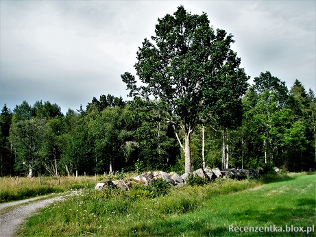 Smalandia mur z kamieni