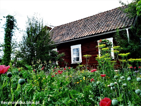 Smalandia widok na okno mojego pokoju