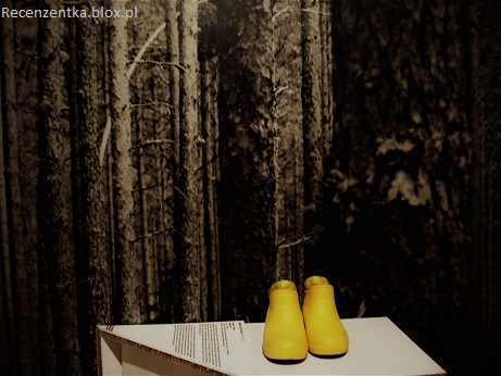 Norweski design kalosze