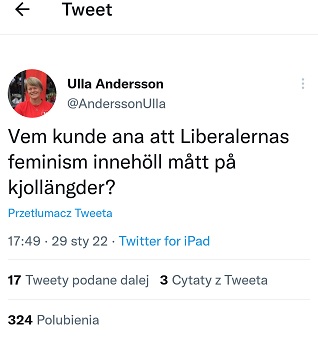 Spódnica Gate Twitter Ulla Andersson Szkice Nordyckie